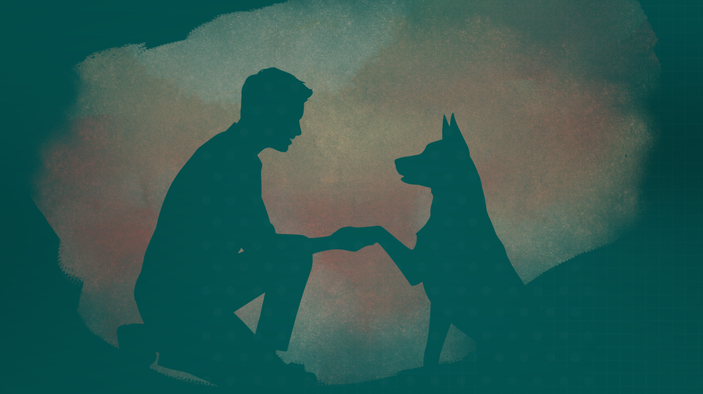 Prawa i obowiązki opiekunów zwierząt – warsztat